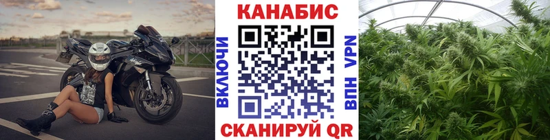 Купить где  Карпинск  Бошки Шишки ГИДРОПОН 